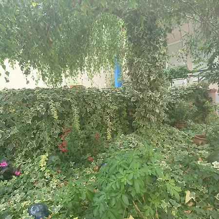 Oda ve Kahvaltı Chambres D'hotes Le Vol A Voile